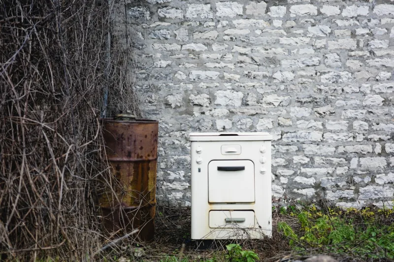 How Biomass and Boiler Stoves Work: A Guide for Commercial Properties